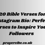 Bible Verses for Instagram Bio: Perfect Verses to Inspire Your Followers